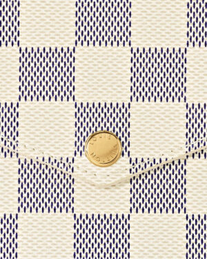 Elegant Louis Vuitton Felicie Pochette Bag-4