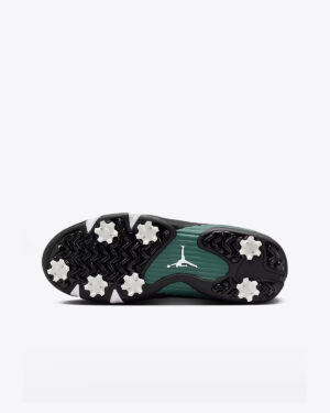 Nike Air Jordan 14 Golf NRG-3