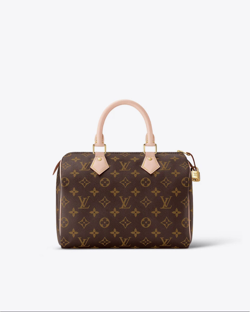 Louis Vuitton SPEEDY 25 Handbag – Fashionable Classic
