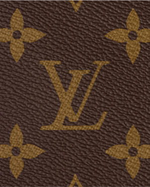 Louis Vuitton SPEEDY 25 Handbag – Fashionable Classic-2
