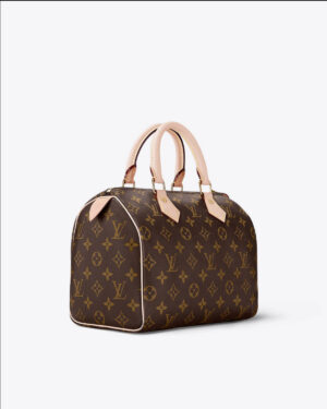 Louis Vuitton SPEEDY 25 Handbag – Fashionable Classic-4
